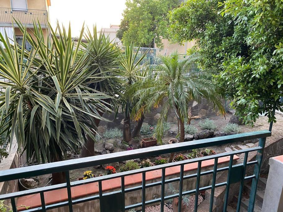 Casa Vacanze Parco Dei Fiori Villa Scafati Exteriör bild